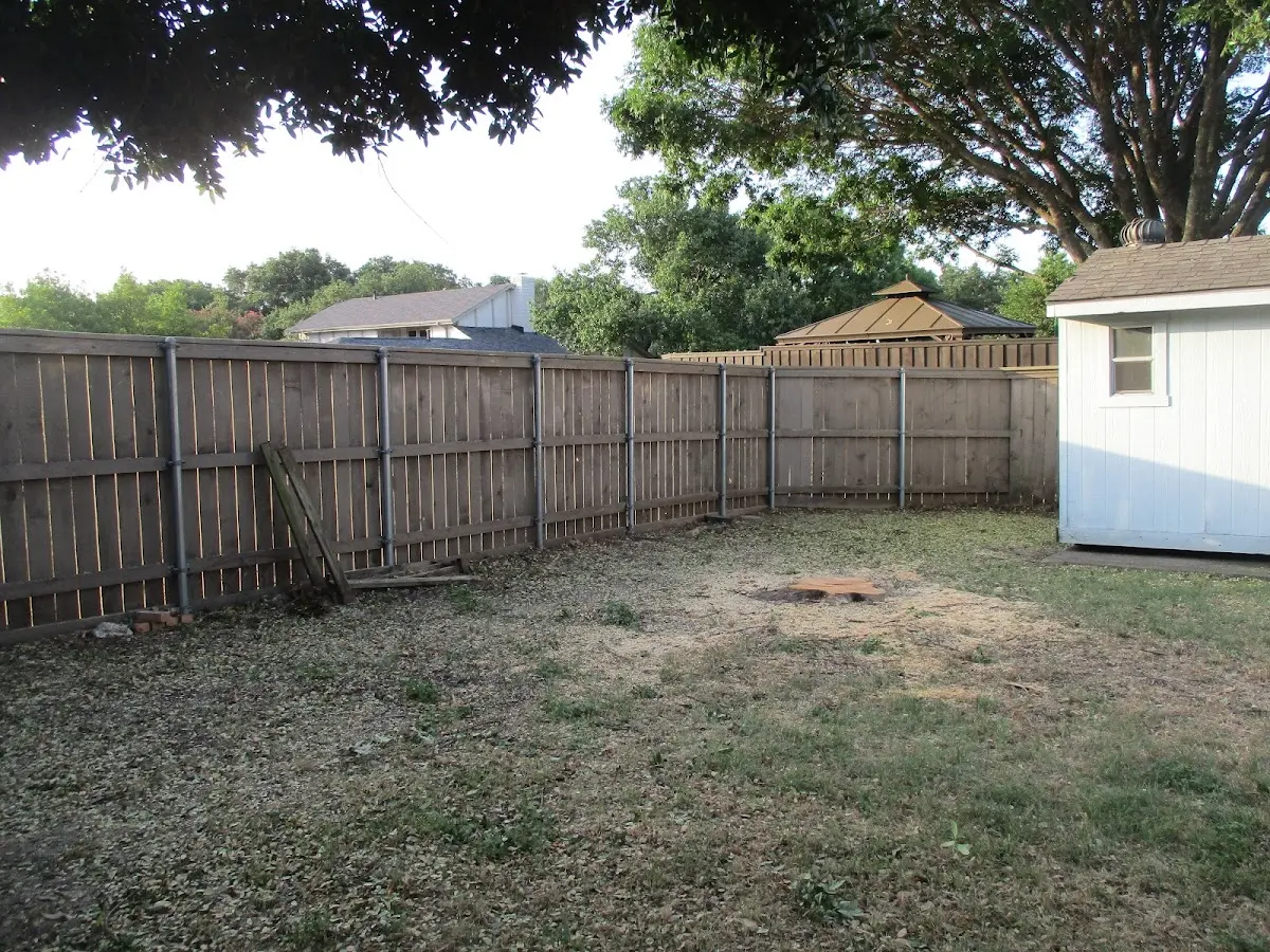 Cleared yard after professional tree removal in Port Hueneme
